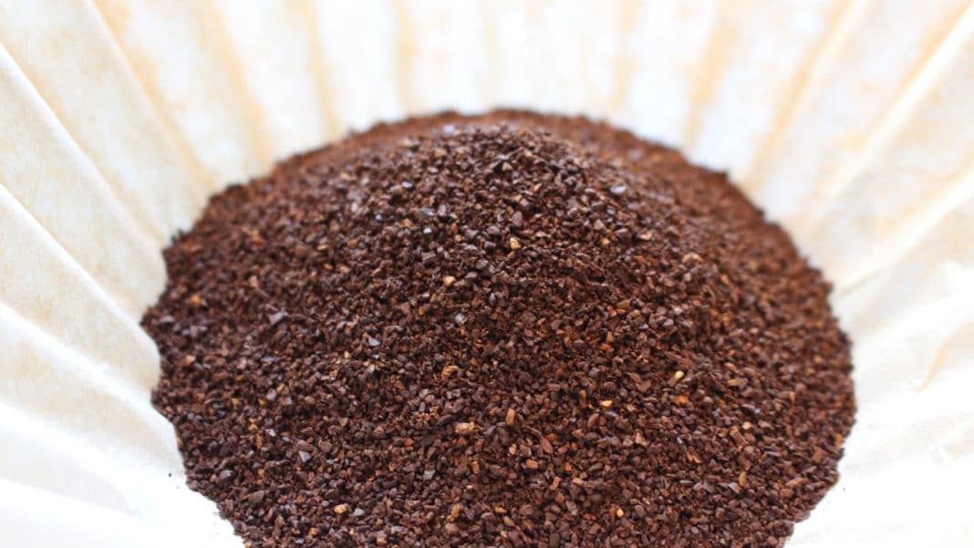 Comment choisir le meilleur café moulu pour une consommation au quotidien ?